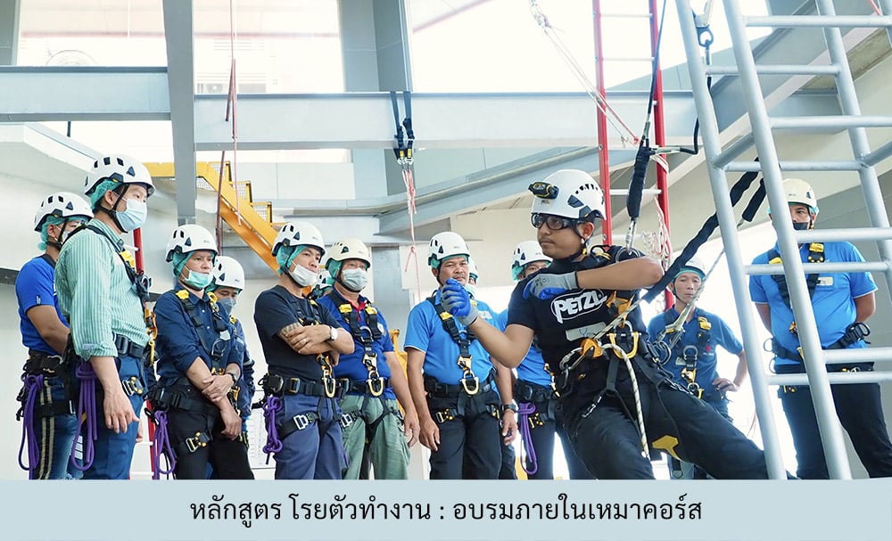 หลักสูตร โรยตัวทำงาน : อบรมภายในเหมาคอร์ส