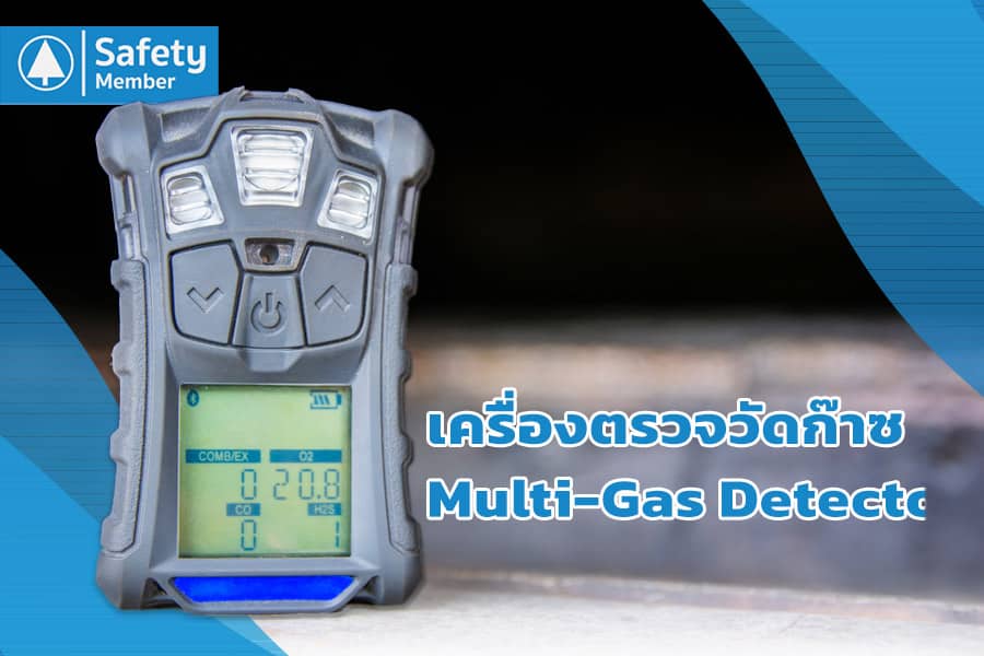 Multi-Gas Detector