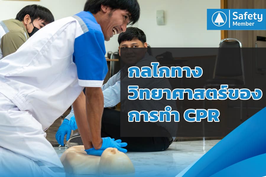 กลไกทางวิทยาศาสตร์ของการทำ CPR