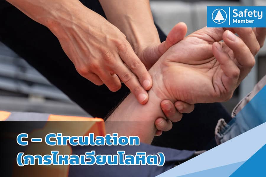 Circulation การไหลเวียนโลหิต